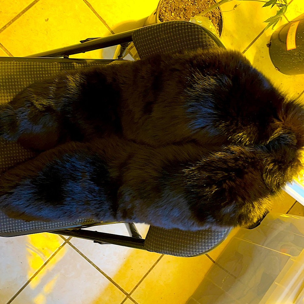 BRAND NEW Mink Scarf